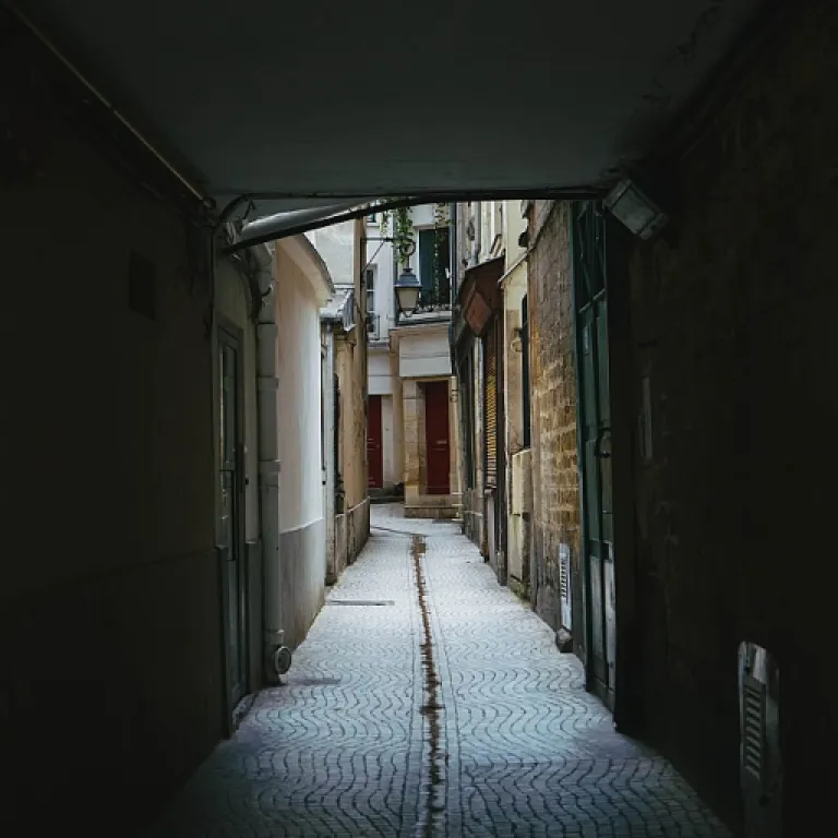 Comment remplir et utiliser un constat pdf pour l’assurance habitation